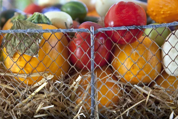 Tomate e verdura de verão — Fotografia de Stock