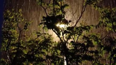 Gece boyunca yağan yağmurun görüntüsü - yukarı doğru eğik