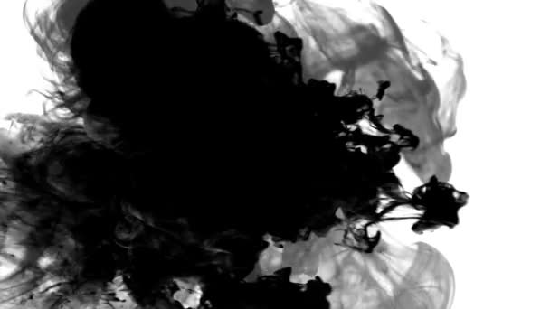 Ink Runs Blots Encre Dans Eau Belle Encre Aquarelle Noire — Video