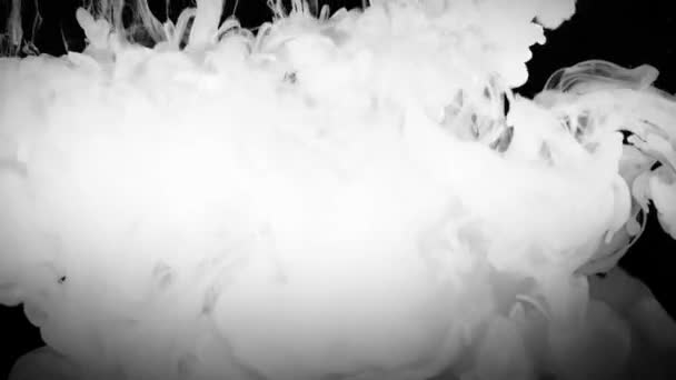 Fehér Füst Vagy Köd Diszpergálása Vagy Terjedése Fekete Alapon — Stock videók