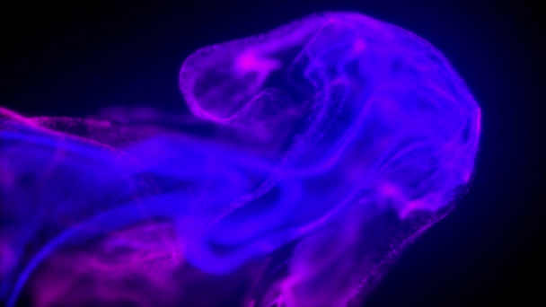 Colorful Particles Molecules Dispersing Spreading Twisting Slow Motion Effects — Stock Video