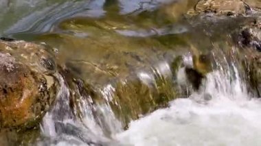 Su bir havuza taşların üzerinde akıyor. Yaklaş.