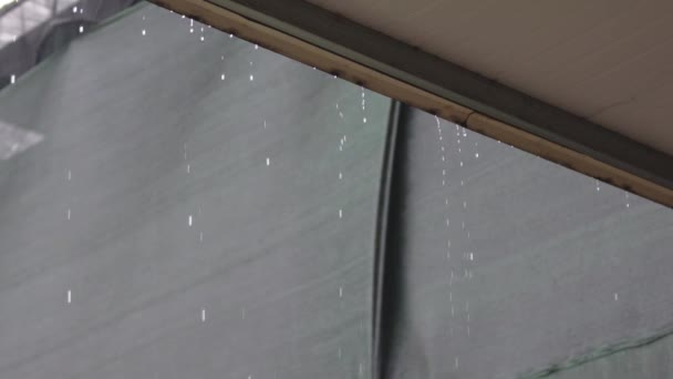 Gotas Chuva Caindo Telhado Câmera Lenta — Vídeo de Stock