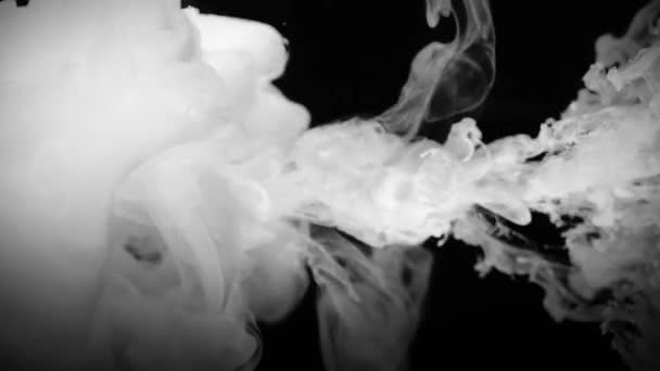 Bílý Kouř Mlha Nebo Suchý Led Rozptýlení Nebo Šíření Černém — Stock video