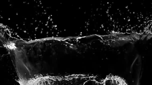 Movimento Lento Spruzzi Acqua Particella Astratta Sfondo Nero — Video Stock