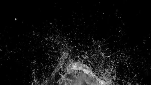 Movimiento Lento Salpicadura Agua Partícula Abstracta Sobre Fondo Negro — Vídeos de Stock