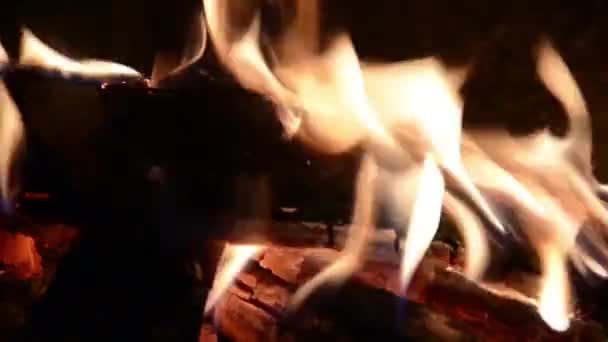 火の上の木 閉じる — ストック動画