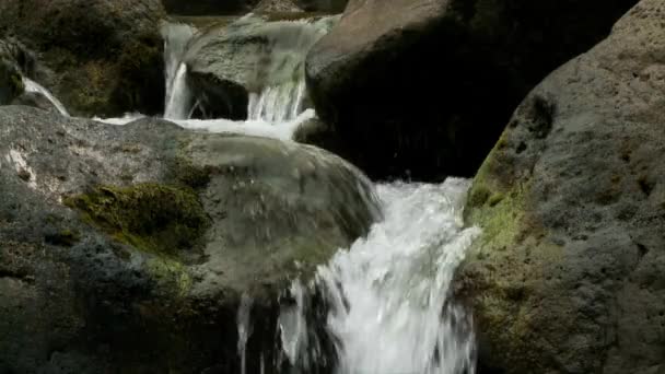 Ruscello Acqua Dolce Calmo Tranquillo Che Scorre Tra Rocce Vicino — Video Stock