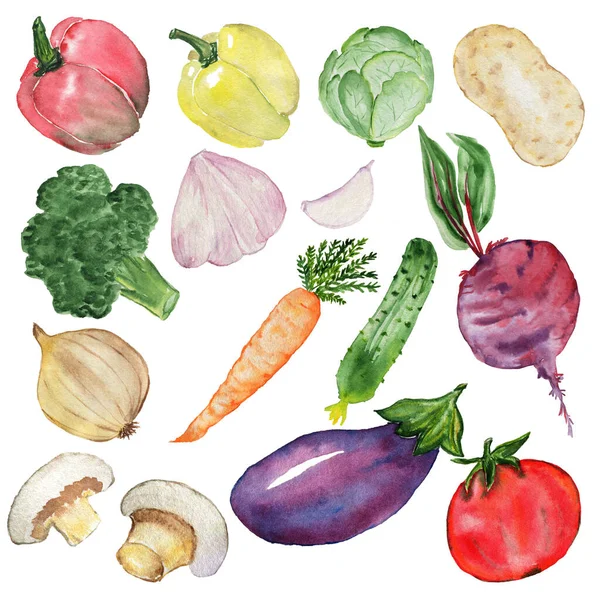 Vegetable set. Watercolor drawing. Red pepper, yellow pepper, cabbage, broccoli, garlic, beetroot, onion, carrot, cucumber, mushrooms, eggplant, tomatoes.