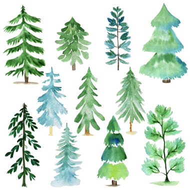 Suluboya ağaçları. Suluboya elle boyanmış ağaç seti. Döküm kağıdı.