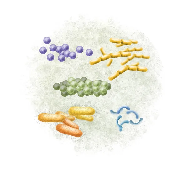 Digital Illustration Bacteria Stock Photo