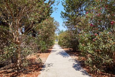 Pompeii, Ital çiçeklerle bahçesinde bulunan yeşil ağaçlar küçük parça