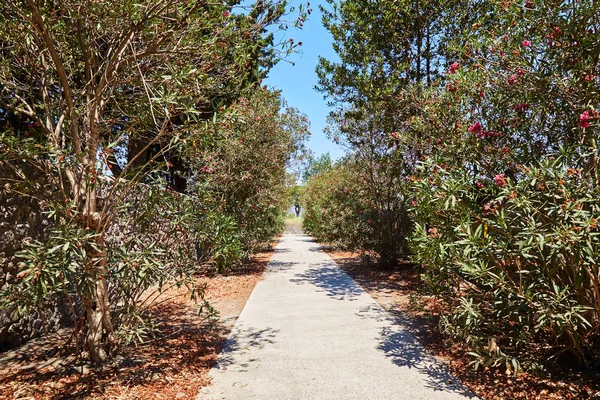Pompeii, Ital çiçeklerle bahçesinde bulunan yeşil ağaçlar küçük parça