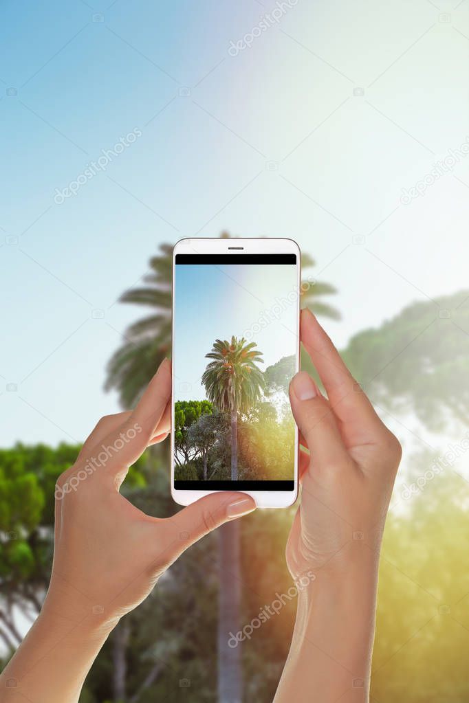 A tourist is taking a photo of the green palm tree is photographed with side flare by the sun on a mobile phone