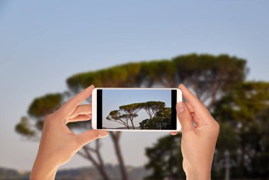 Bir turist bir fotoğrafta Roma'da güneşli bir cep telefonuna akşam gökyüzü arka planı İtalyan taş çam
