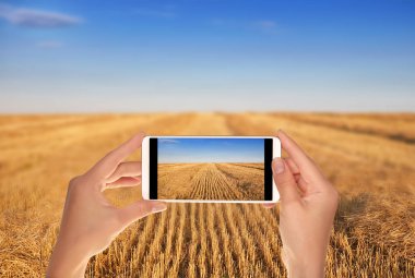 Bir adam bir cep telefonu açık güneşli bir akşam hasat sonrası tahıl alanının bir fotoğraf alıyor