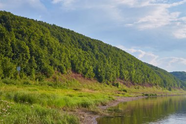 Bashkiria doğası ile yaz manzara