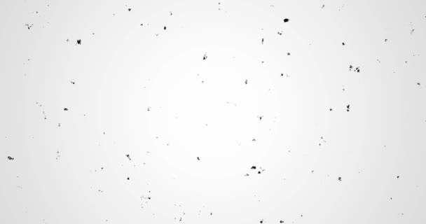 Animation effet vieux film 4k avec effet poussière avec vignette. Effet film old school. Retro film vidéo effets vidéo. Idéal pour superposition. Effet film. Formats UHD, HD, 1080p 4K.