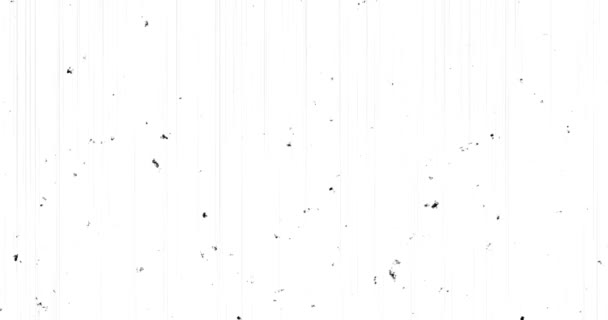 Animation 4k Old Film avec effet poussière et rayures sur fond blanc. Idéal pour superposition. Effet film old school. Retro film vidéo effets vidéo. Effet film. Formats UHD, HD, 1080p 4K.