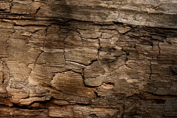 Mörk gammal naturlig trästruktur — Stockfoto