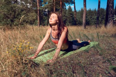 Güzel genç bir kadın sabahları doğada yoga yapıyor..
