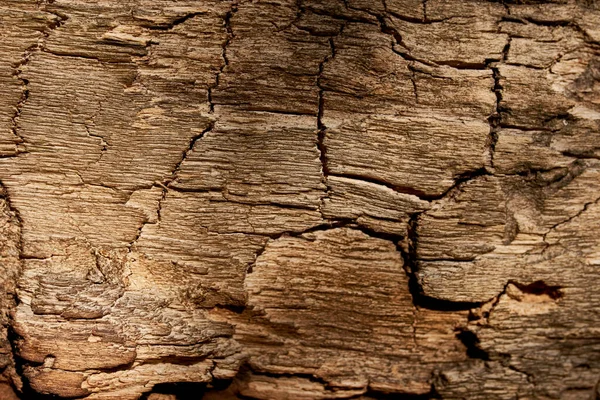 Mörk gammal naturlig trästruktur — Stockfoto