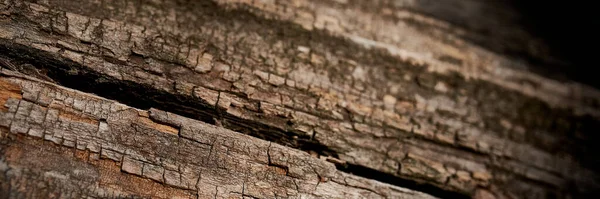 Textura de madera natural vieja oscura. — Foto de Stock