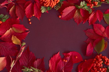 Kırmızı yapraklı sonbahar kompozisyonu.