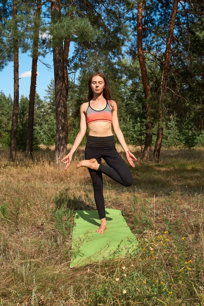 Hermosa Joven Top Deportivo Polainas Practicando Yoga Por Mañana Sobre — Foto de Stock