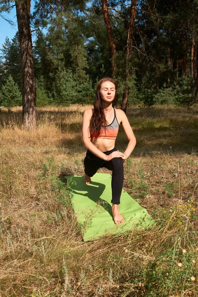 Hermosa joven practicando yoga en la mañana sobre la naturaleza. — Foto de Stock