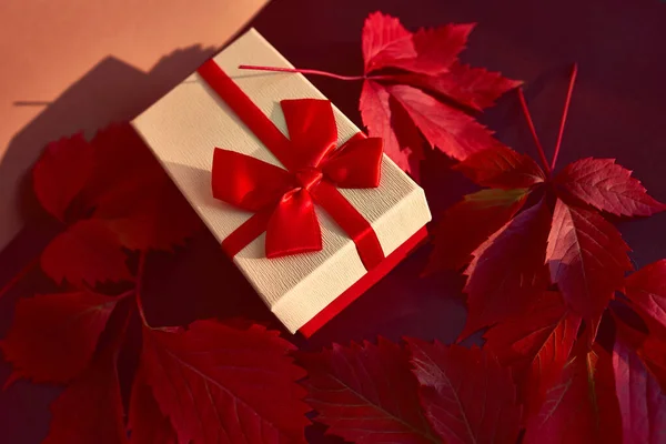 Різдвяна Коробка Червоною Стрічкою Червоним Осіннім Листям — стокове фото