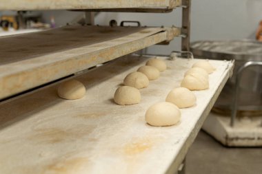 Hamburger çörekleri tepsiye kondu ve fırına konmaya hazır..