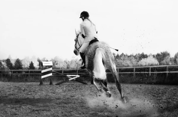 Horse Rider Rides Forward — Stock Photo, Image