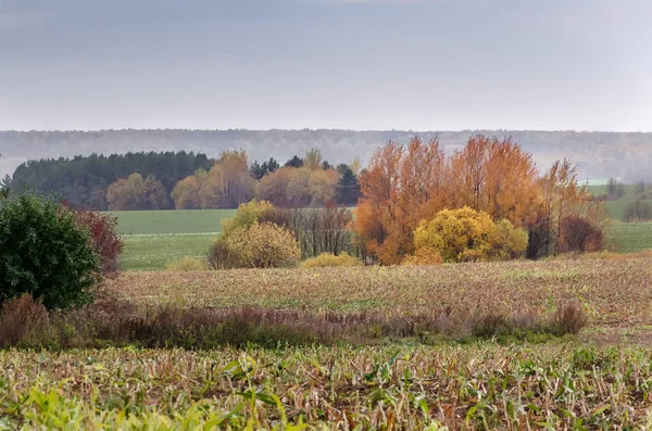 Colorido paisaje otoñal de campos rurales, árboles y cielo durante el día. Árboles con hojas rojas, amarillas y verdes. —  Fotos de Stock