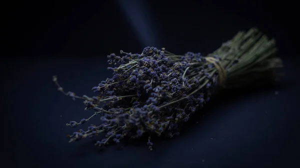 Koyu arkaplanda lavanta buketi