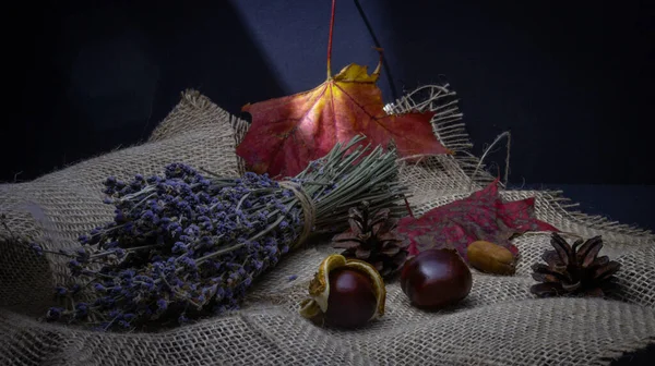 Sonbahar kestane ve lavanta dolu karanlık bir anahtarda