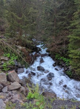 Sonbaharda bir derenin güzelliği, Borzhava