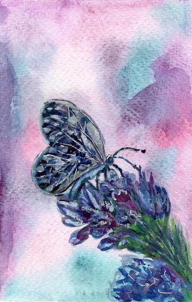 Farfalla Fiore Rosa Giallo Blu Verde — Foto Stock