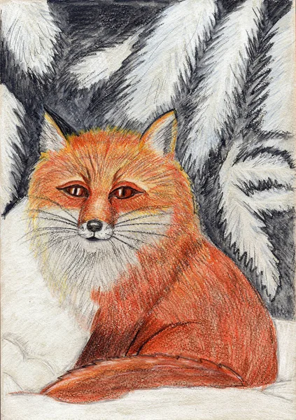 Rood Oranje Winter Snow Fox — Stockfoto
