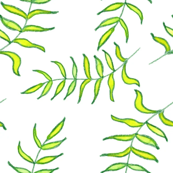 Żółty Zielony Palm Gałąź Zioło Liście Rysunek Grafika Sztuka Wzór — Zdjęcie stockowe