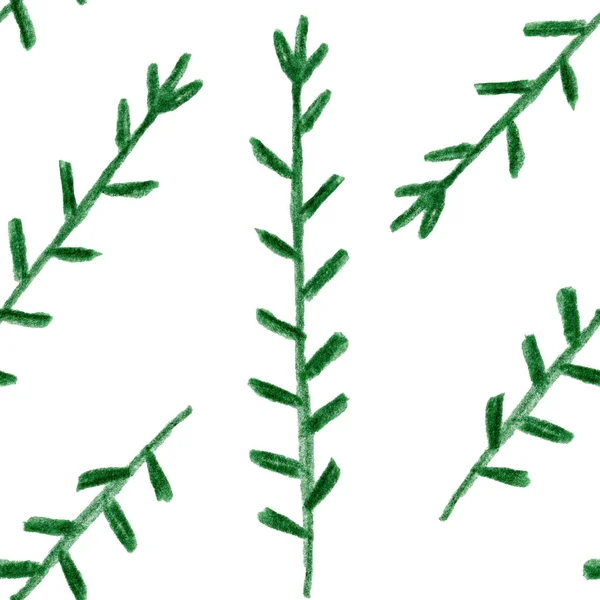 Πράσινη Έλατο Κλαδί Βότανο Φύλλα Ζωγραφική Φυτό Λουλούδι Γραφικό Δημιουργικό — Φωτογραφία Αρχείου