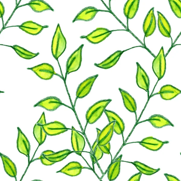 Yellow Green White Tree Branch Herb Leaves Drawing Plant Flower — Stock Photo, Image