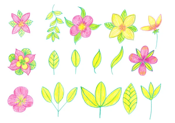Virágok Rózsaszín Sárga Levelek Zöld Készlet Gyűjtemény Rajz Grafikus Ceruza — Stock Fotó