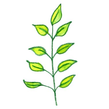 yeşil sarı ağaç dalı ot bitki çiçek grafik yaratıcı çizim yaprakları