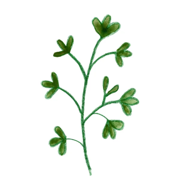 Folhas Ervas Verdes Desenho Arte Gráfica — Fotografia de Stock