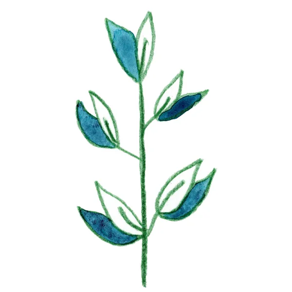 Πράσινο Μπλε Φυτικά Φύλλα Σχεδιάζοντας Γραφικά Τέχνη — Φωτογραφία Αρχείου