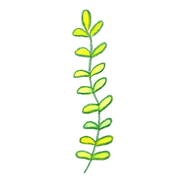 Πράσινο Κίτρινο Κλαδί Βότανο Φύλλα Σχεδιάζοντας Γραφικά Τέχνη — Φωτογραφία Αρχείου