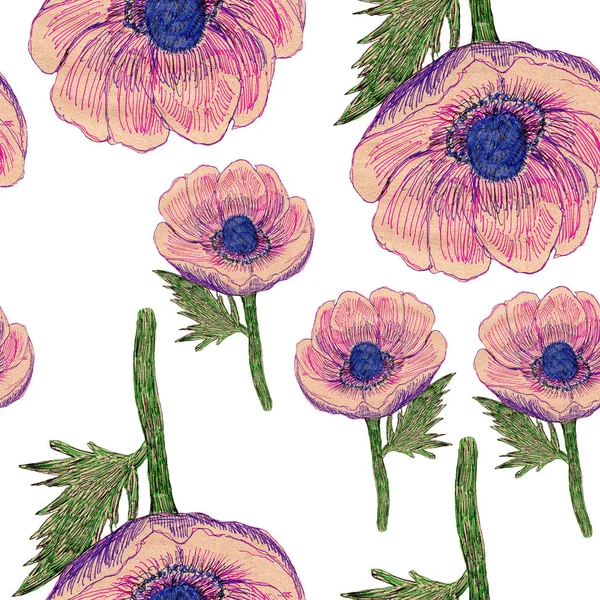 Flor Ilustração Lápis Esboço Padrão Textura Desenho Natureza Planta Botânica — Fotografia de Stock