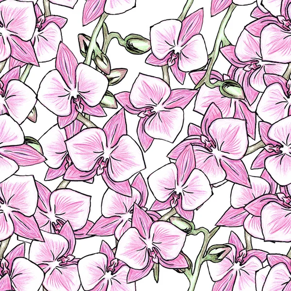 Orquídea Rosa Patrón Sin Costura Flor Brotes Flores Verde Dibujo —  Fotos de Stock