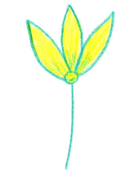 Yaprak Çiçek Sarı Yeşil Çizim Grafik Kalem Kroki — Stok fotoğraf